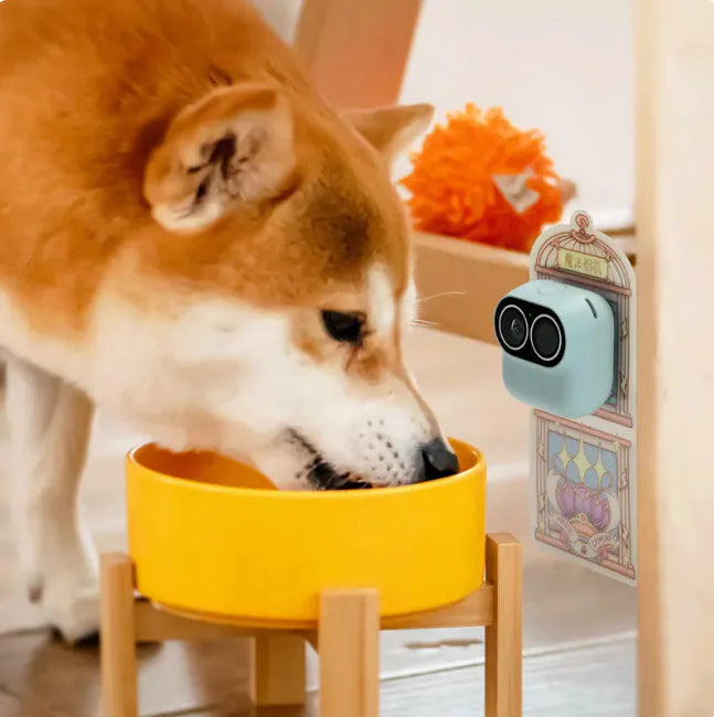 Smart Fashion Camera