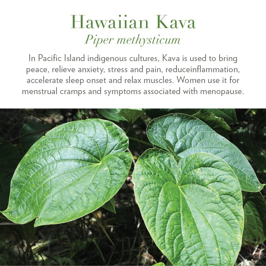 Ease: Hawaiian Kava Gummies by Rosebud Woman-3