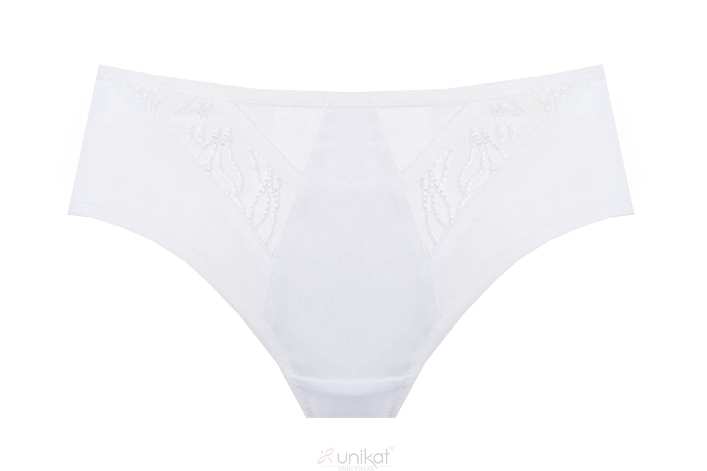 Sheer Mesh Low Rise Bikini Panty Virginia-2