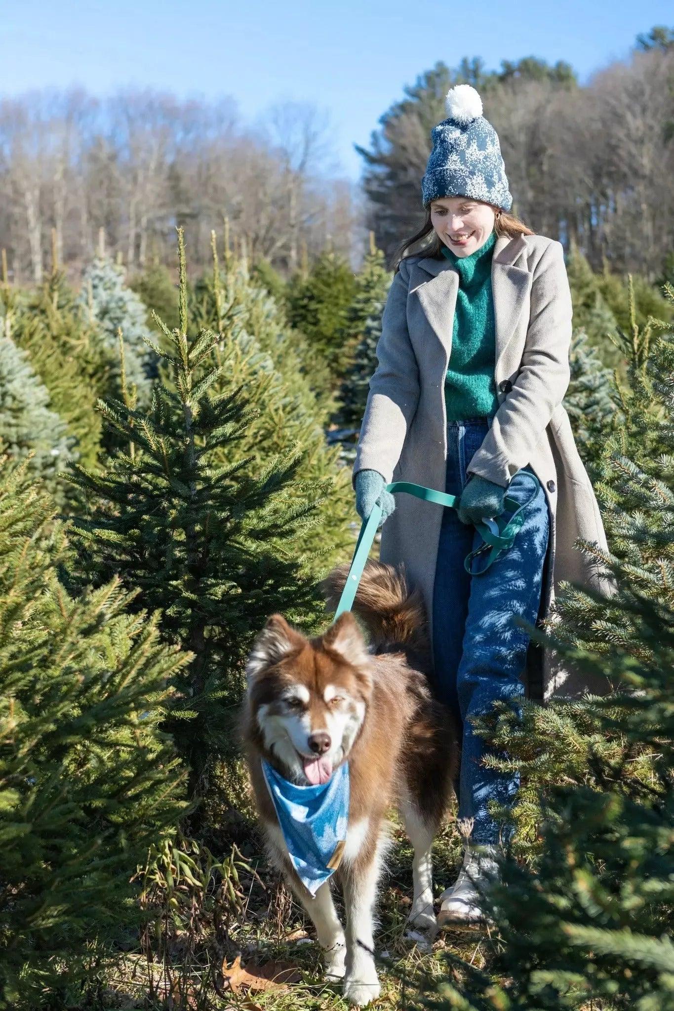 Siberian Spruce Waterproof Dog Leash-3