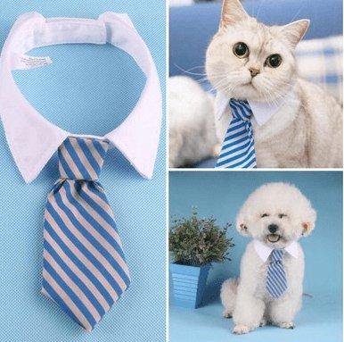 Cartoon Print Pet Bow Tie Set - Wholesale Dog And Baby Tie Collection-6