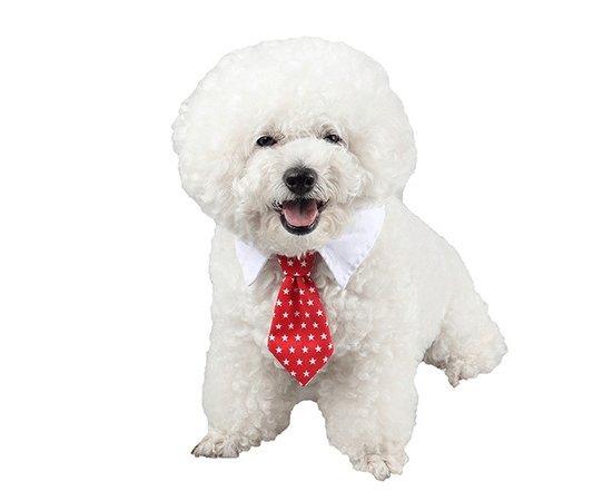 Cartoon Print Pet Bow Tie Set - Wholesale Dog And Baby Tie Collection-11