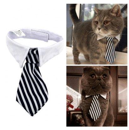 Cartoon Print Pet Bow Tie Set - Wholesale Dog And Baby Tie Collection-1