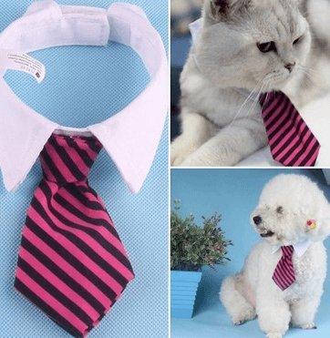 Cartoon Print Pet Bow Tie Set - Wholesale Dog And Baby Tie Collection-9