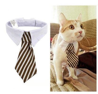 Cartoon Print Pet Bow Tie Set - Wholesale Dog And Baby Tie Collection-12