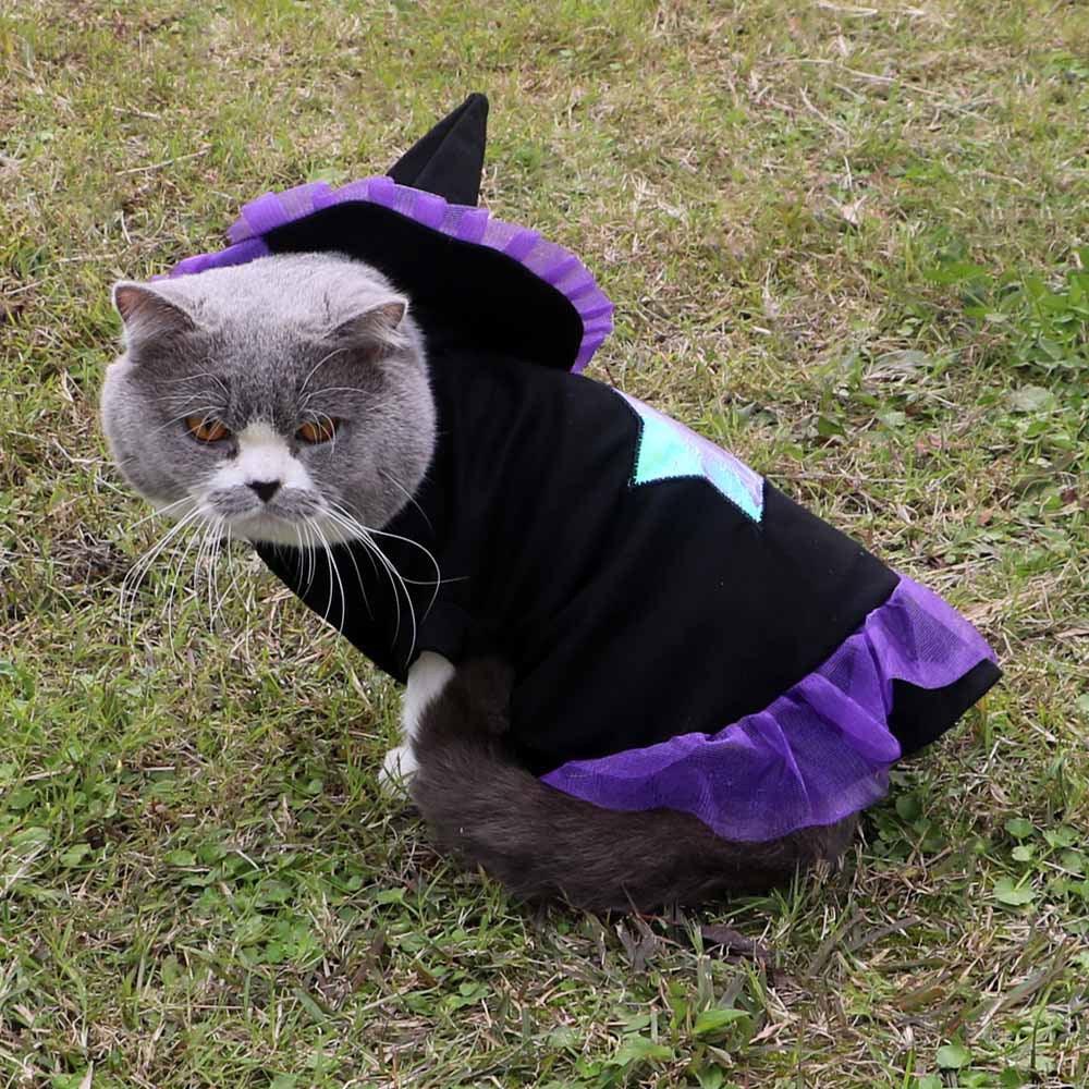 Christmas Enchanter Pet Halloween Dog Costume-0