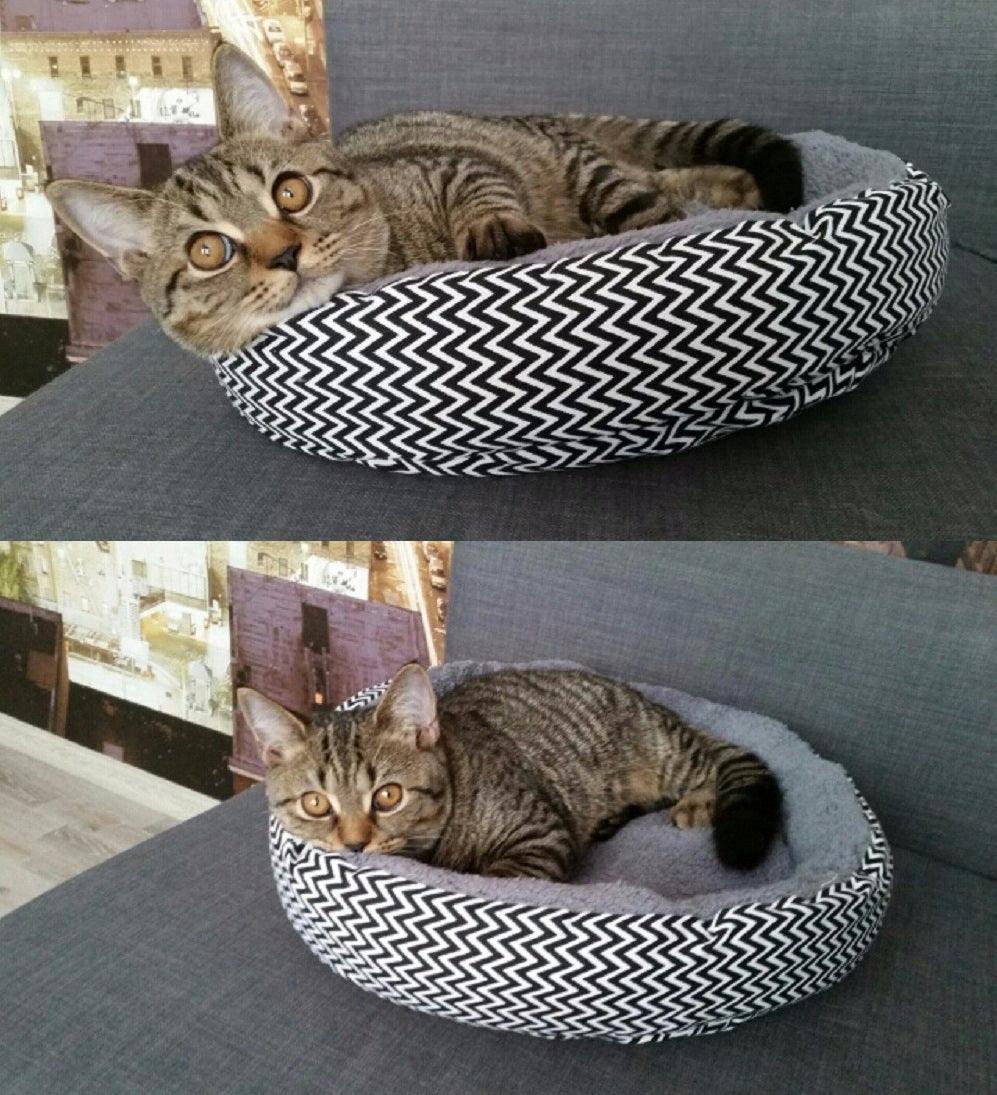 Cozy Haven Pet Nest-3