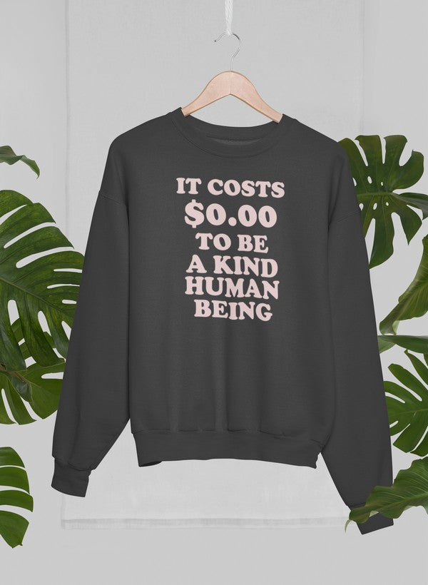 It Costs $0.00 To Be A Kind Human Being Sweat Shirt-3