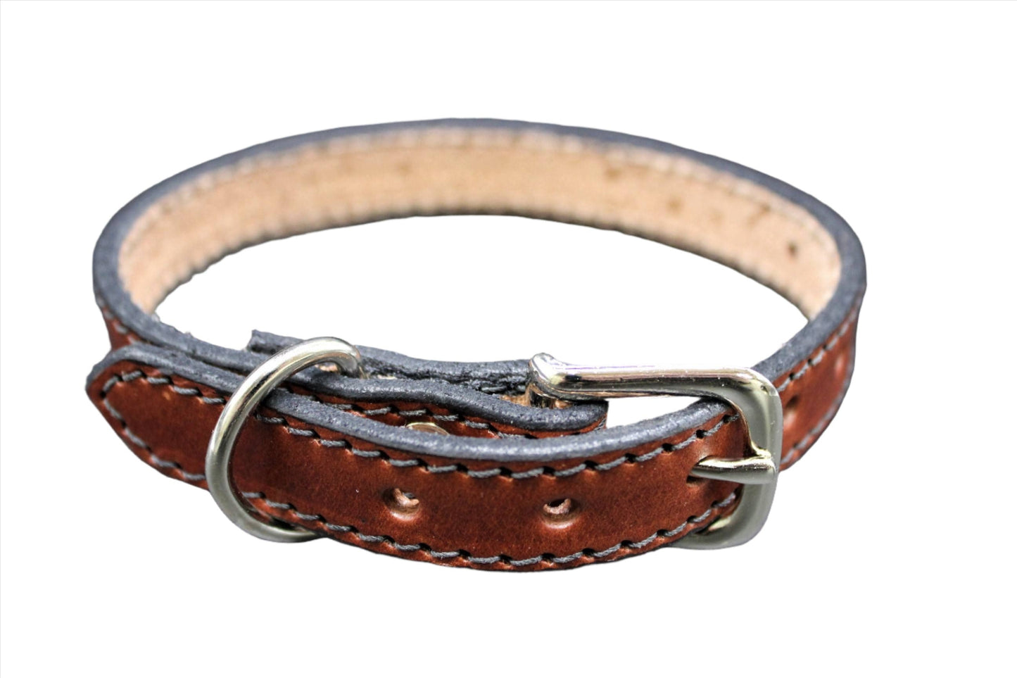 Dog Collar-1