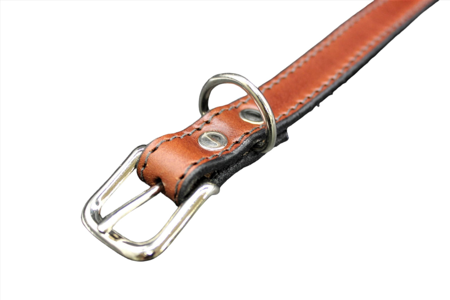 Dog Collar-2