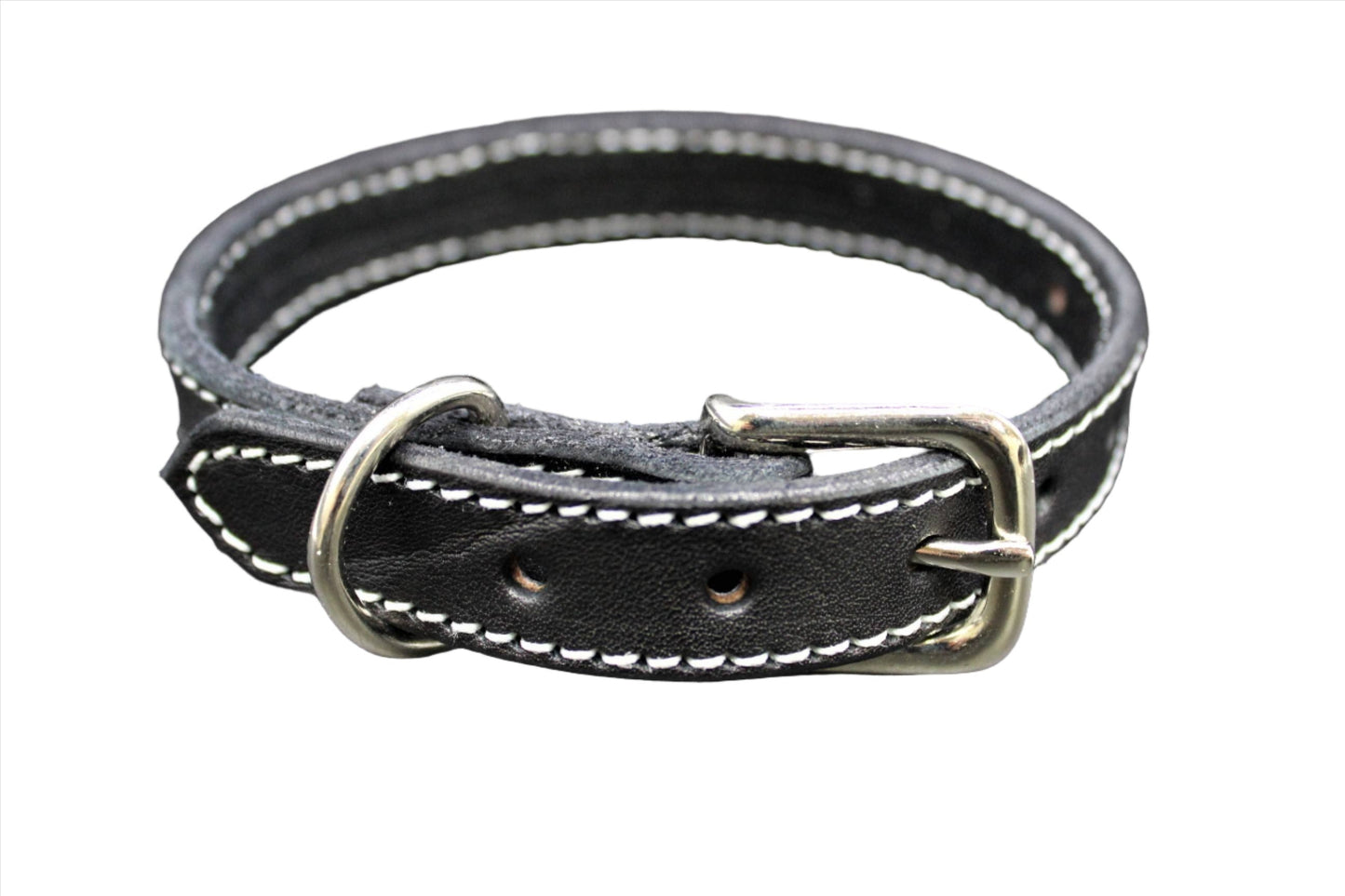 Dog Collar-3