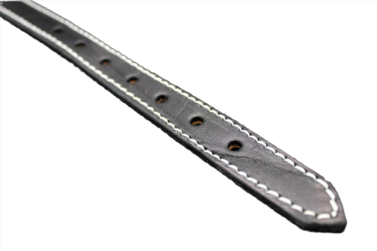 Dog Collar-4