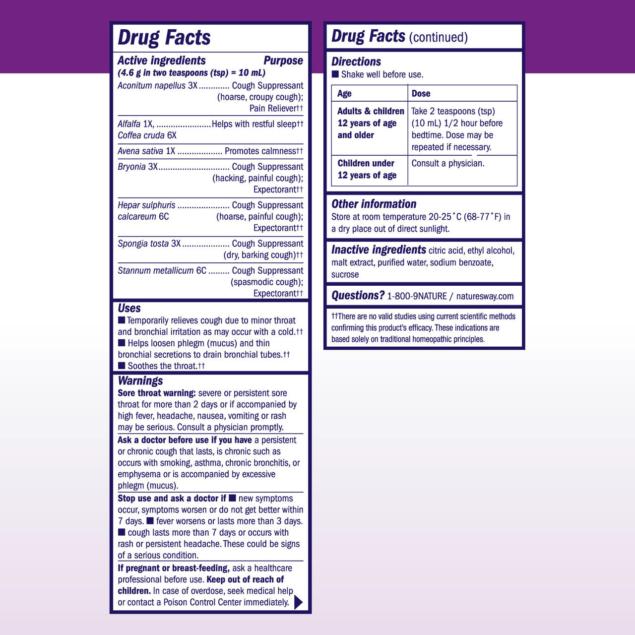 Boericke & Tafel Nighttime Cough & Bronchial Syrup (1x8 Oz)-5