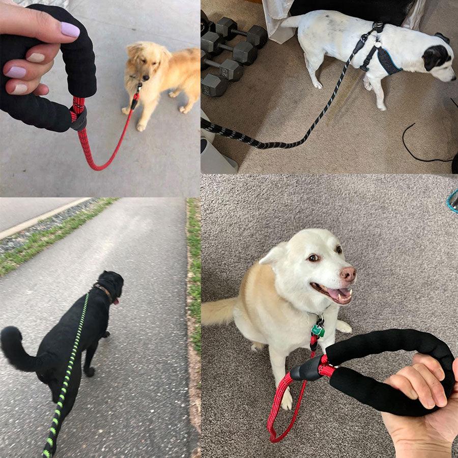 Luminous Reflective Strong Dog Leash-1