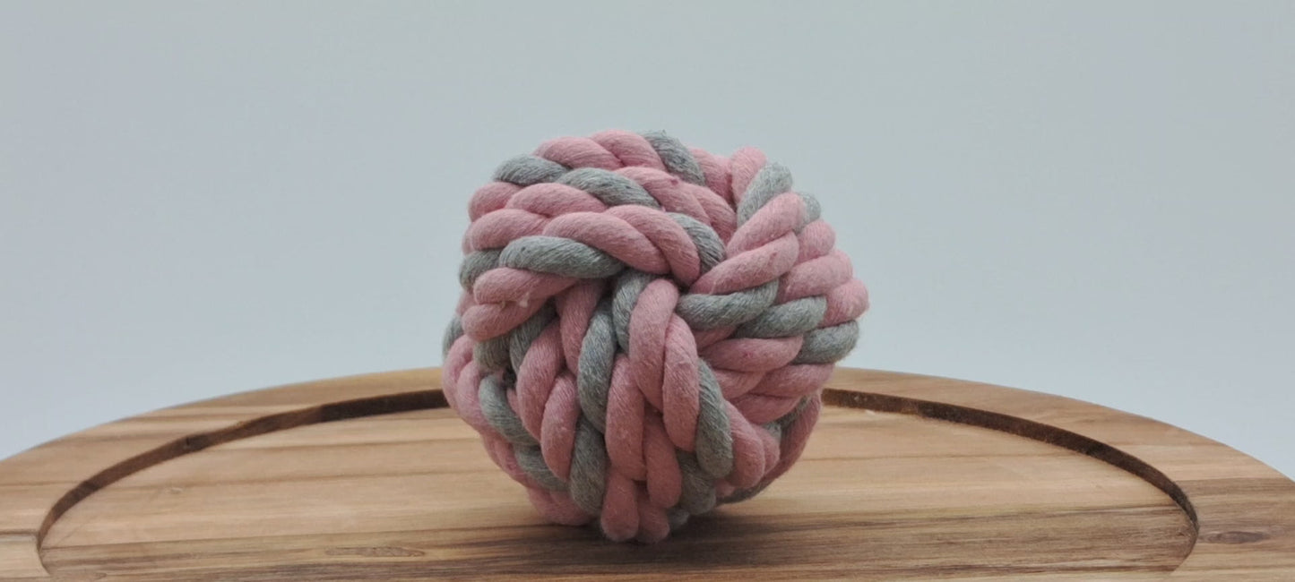 Fetch Ball-7