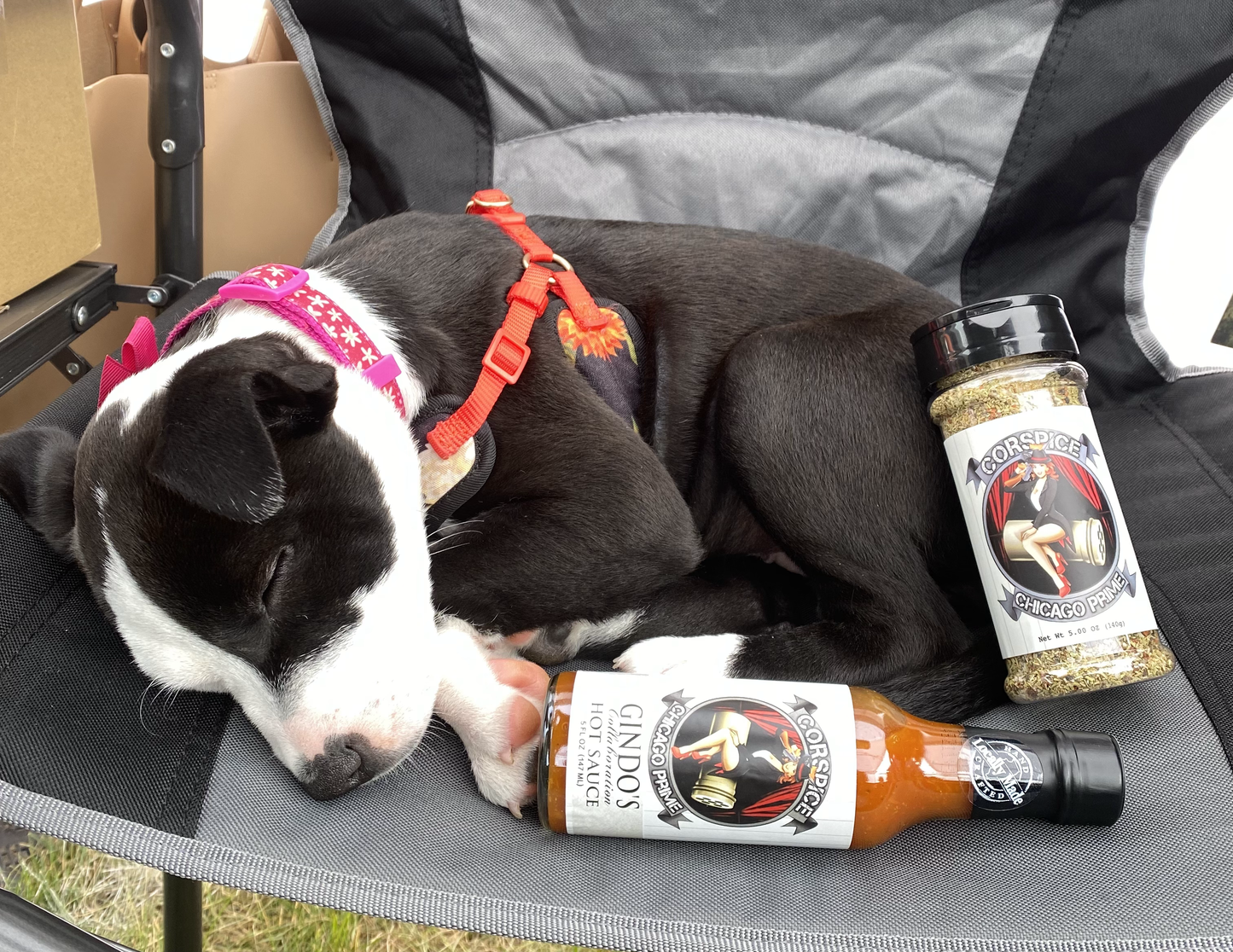 K9 for Vets Chicago Prime Hot Sauce-1