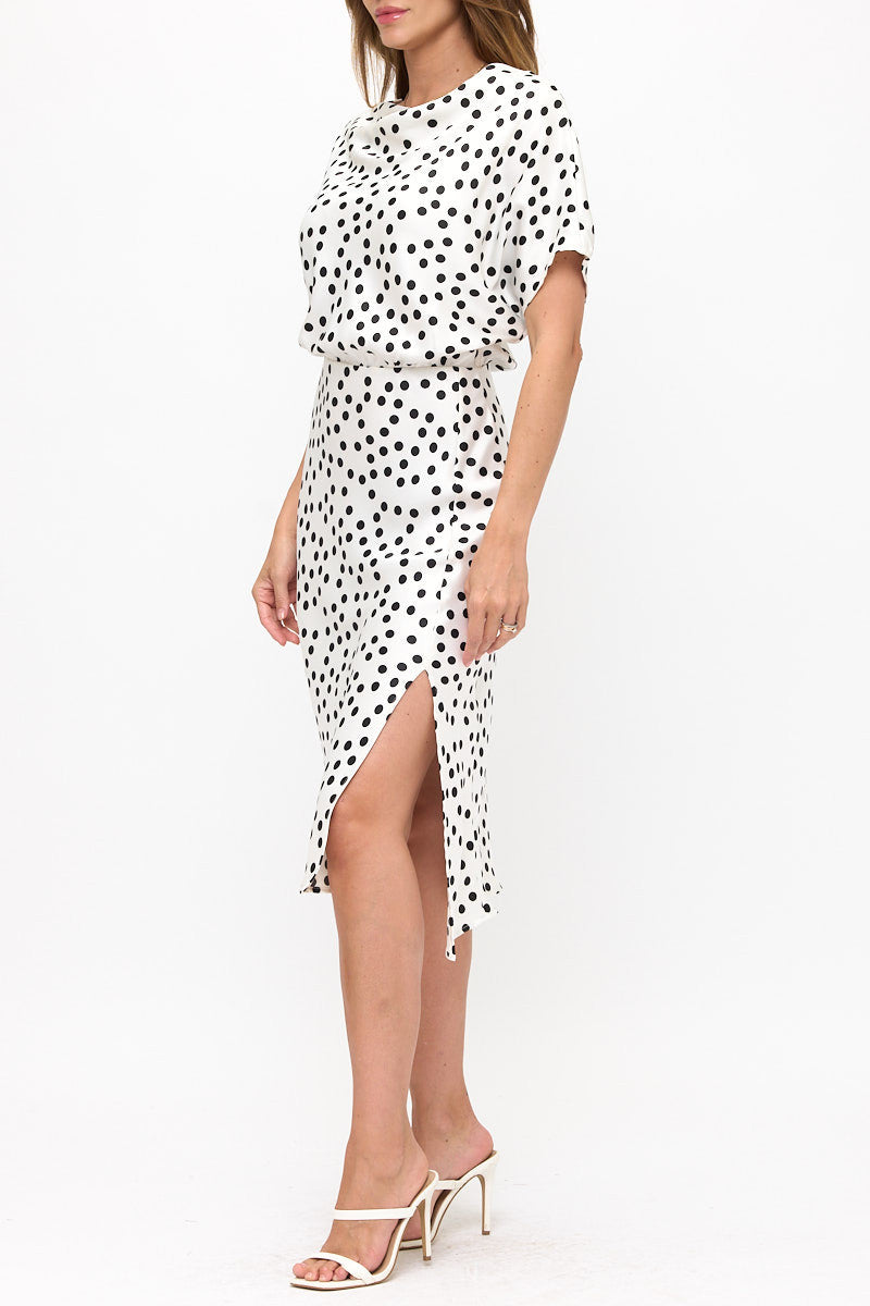 Polka Dot Dress Print With Slit-2