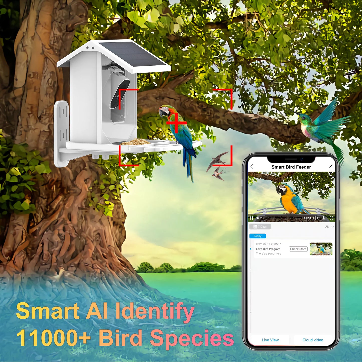 Solar Feeder Camera