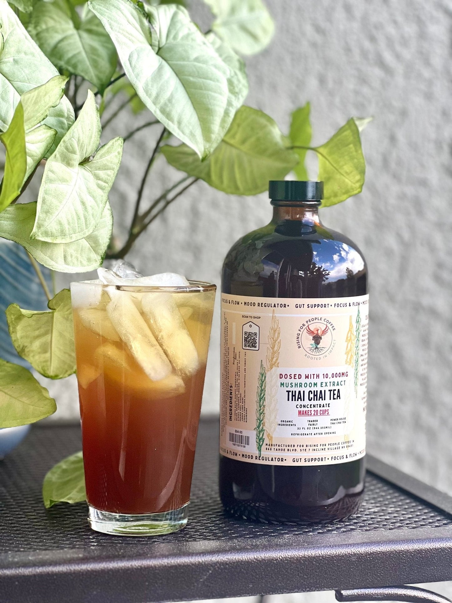 Happy Mushroom Cold Brew & Thai Chai Concentrate-4