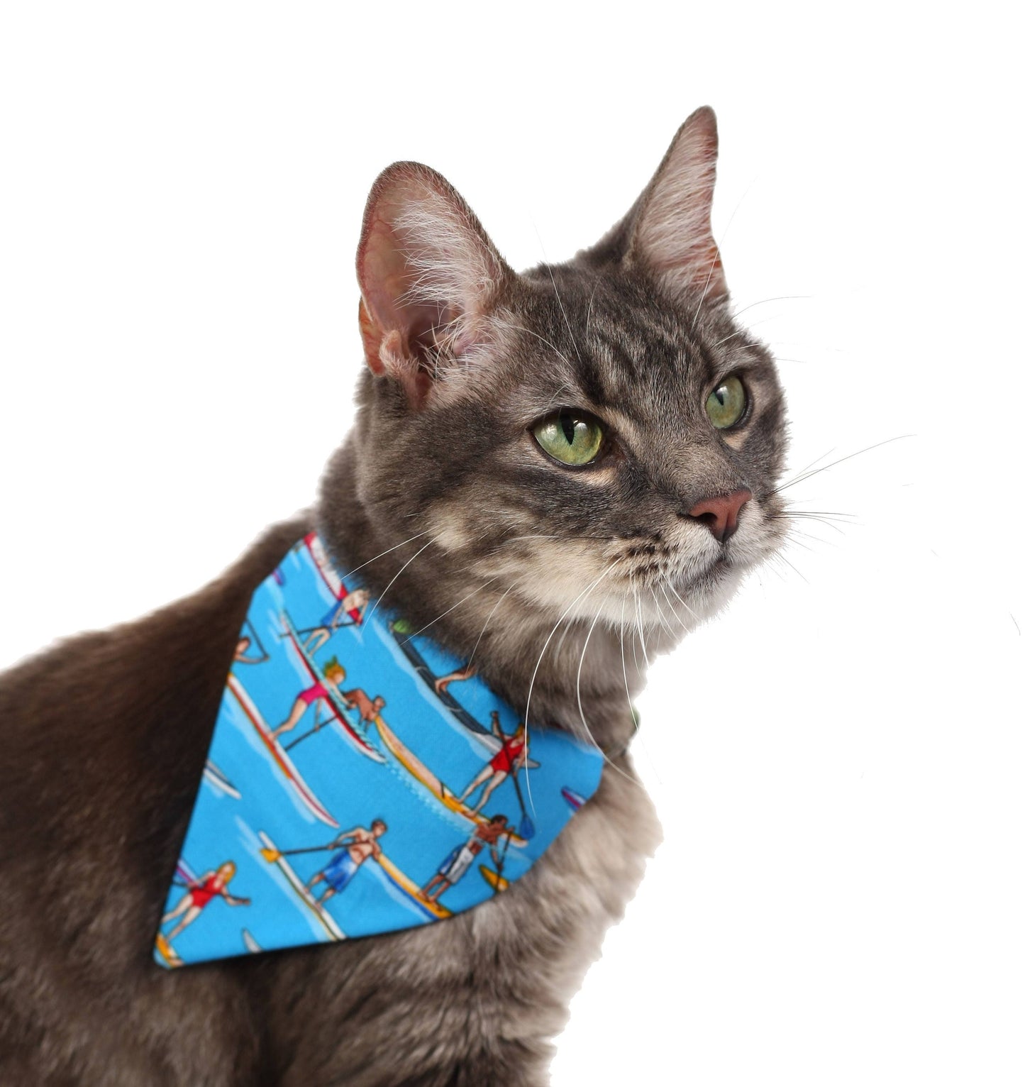 Stand Up Paddleboards Pet Scarf-4