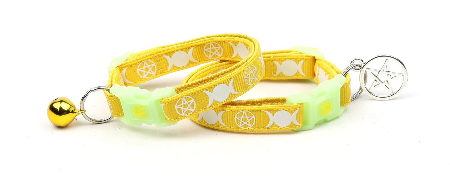 Witch's Familiar on Yellow Cat Collar-2
