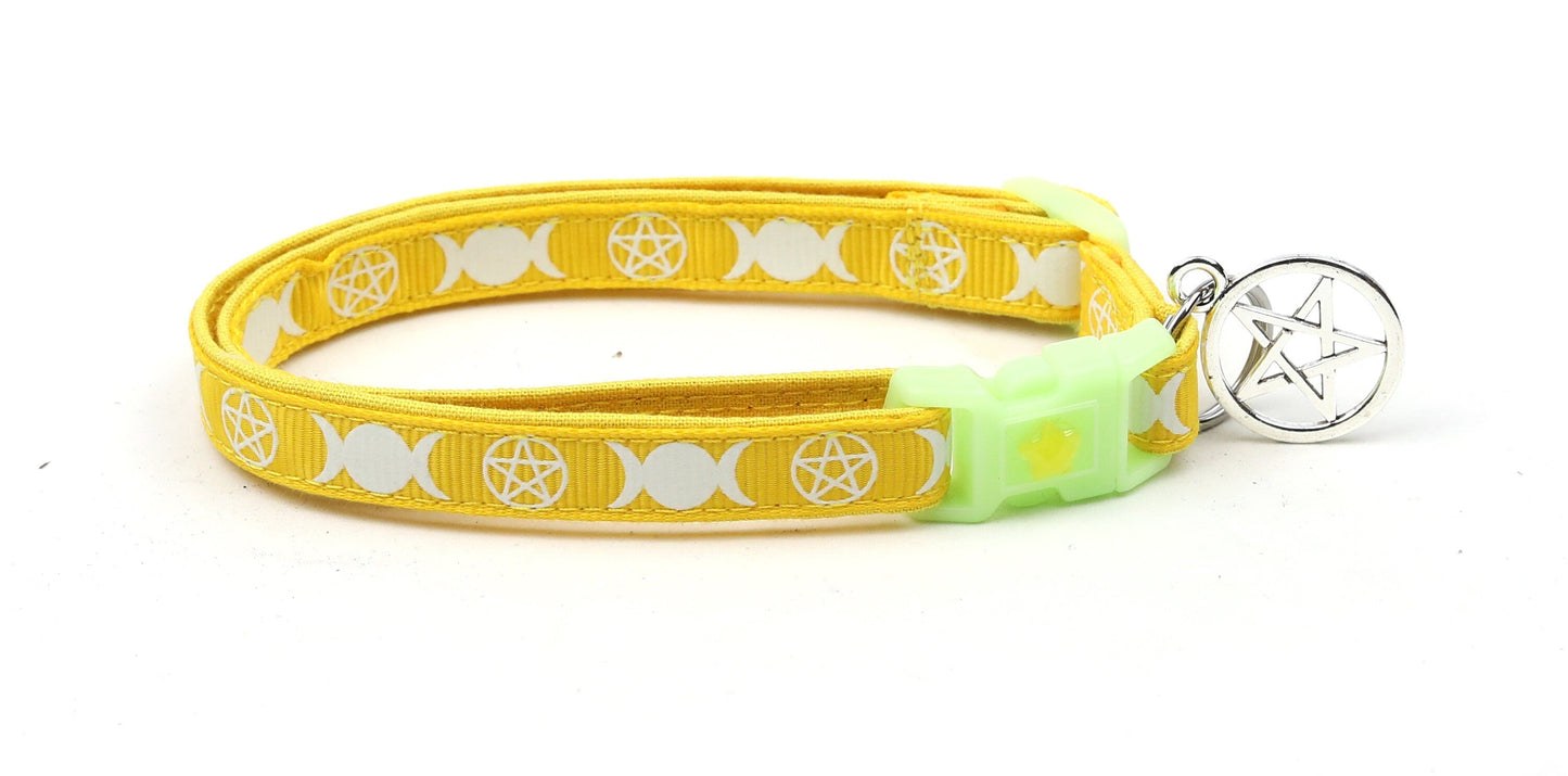 Witch's Familiar on Yellow Cat Collar-4