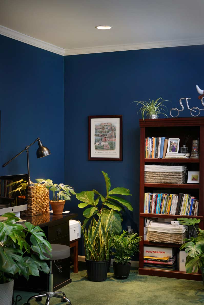 Greenfit™ Kit (Vita 4-Pack)-4