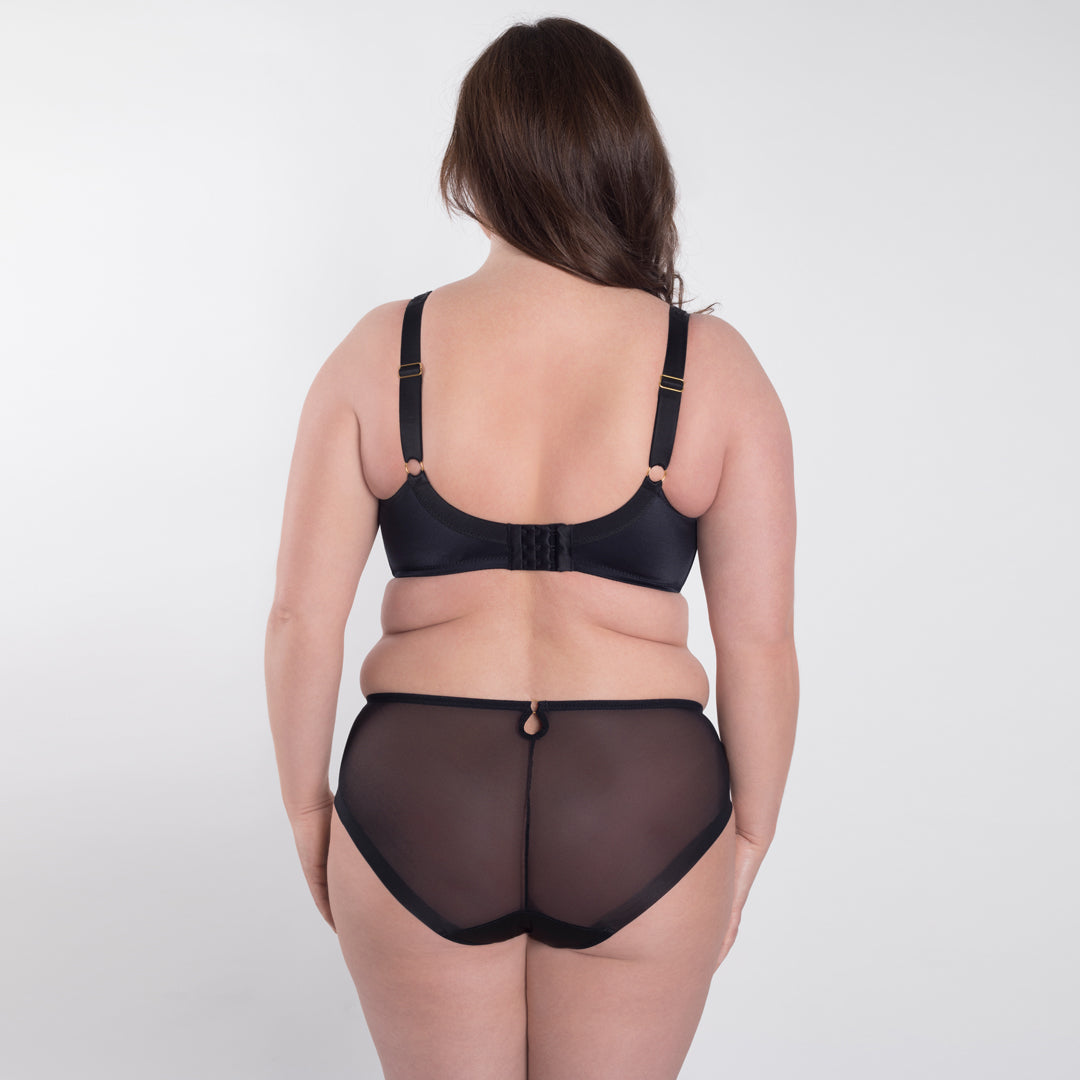 Sheer Mesh Tulle Embroidered Brief Panty Perla Black-3