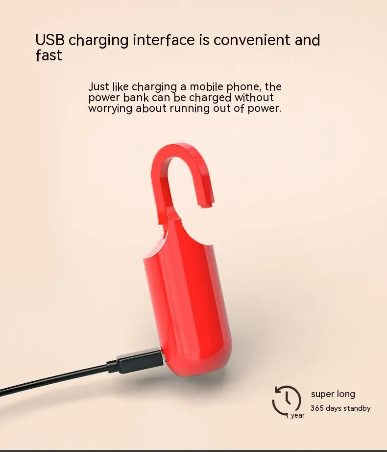 Bag USB Fingerprint Lock