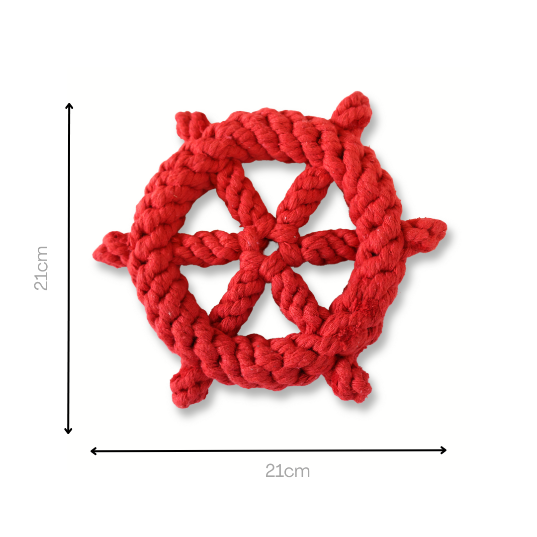 Lucky Red Wheel Dog Toy-3