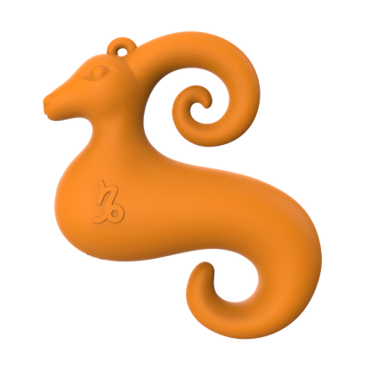 Capricorn Mini Vibe-1