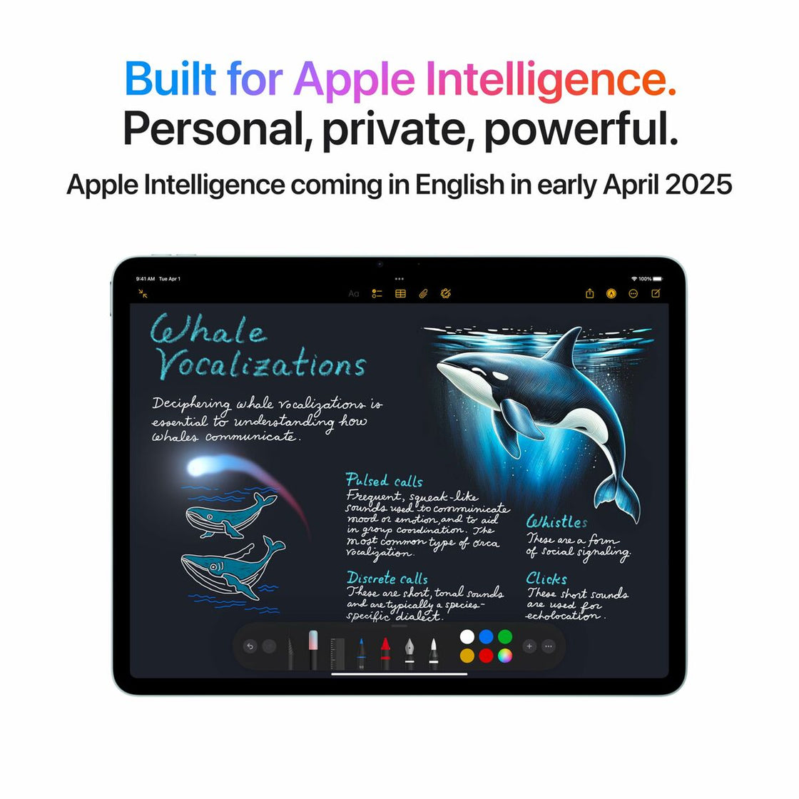 Tablet Apple 13" M3 8 GB RAM 1 TB Blue-9