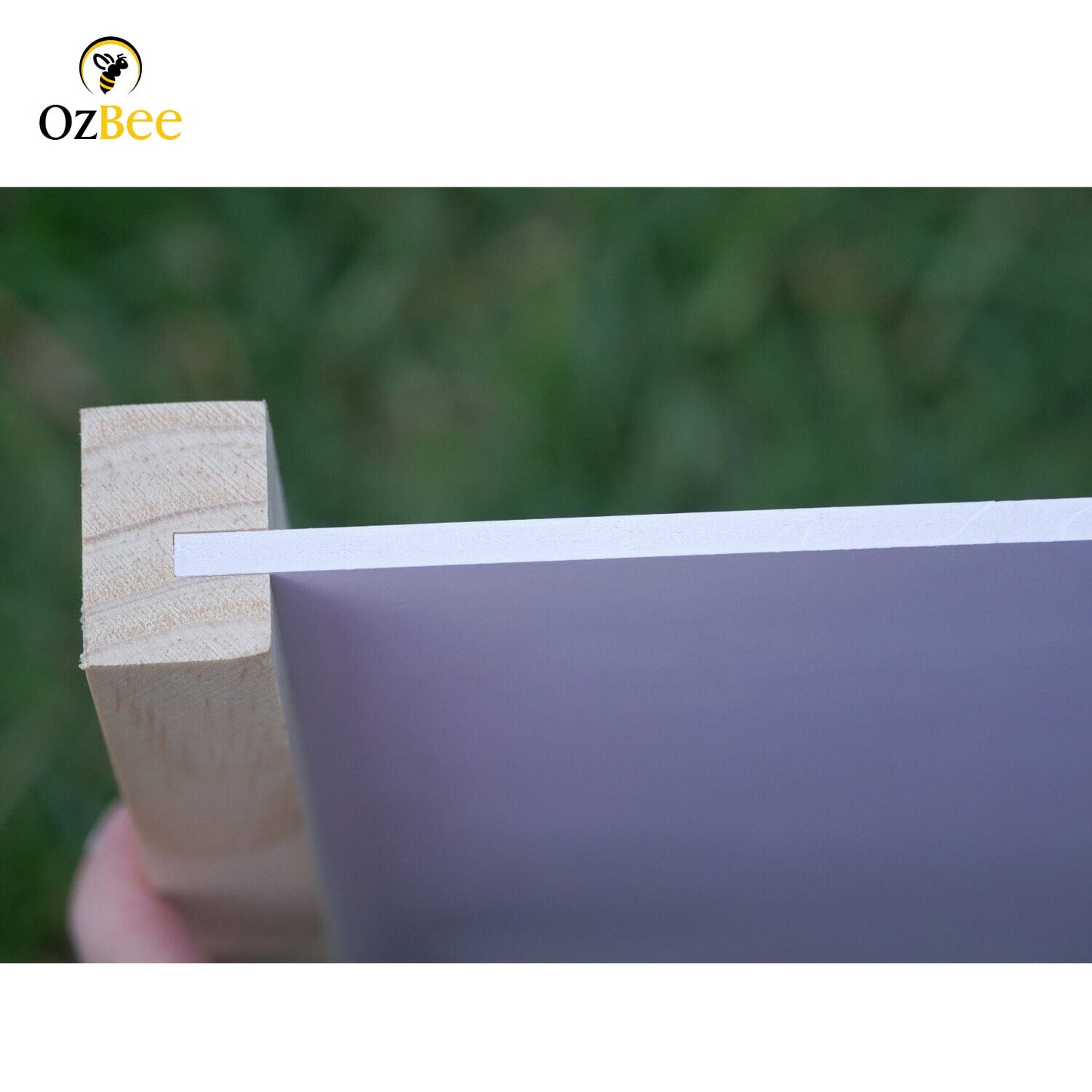 5 X 10F FRAME STAINLESS STEEL MESH BEE HIVE BOTTOM BASE BEEHIVE NZ PINE-2