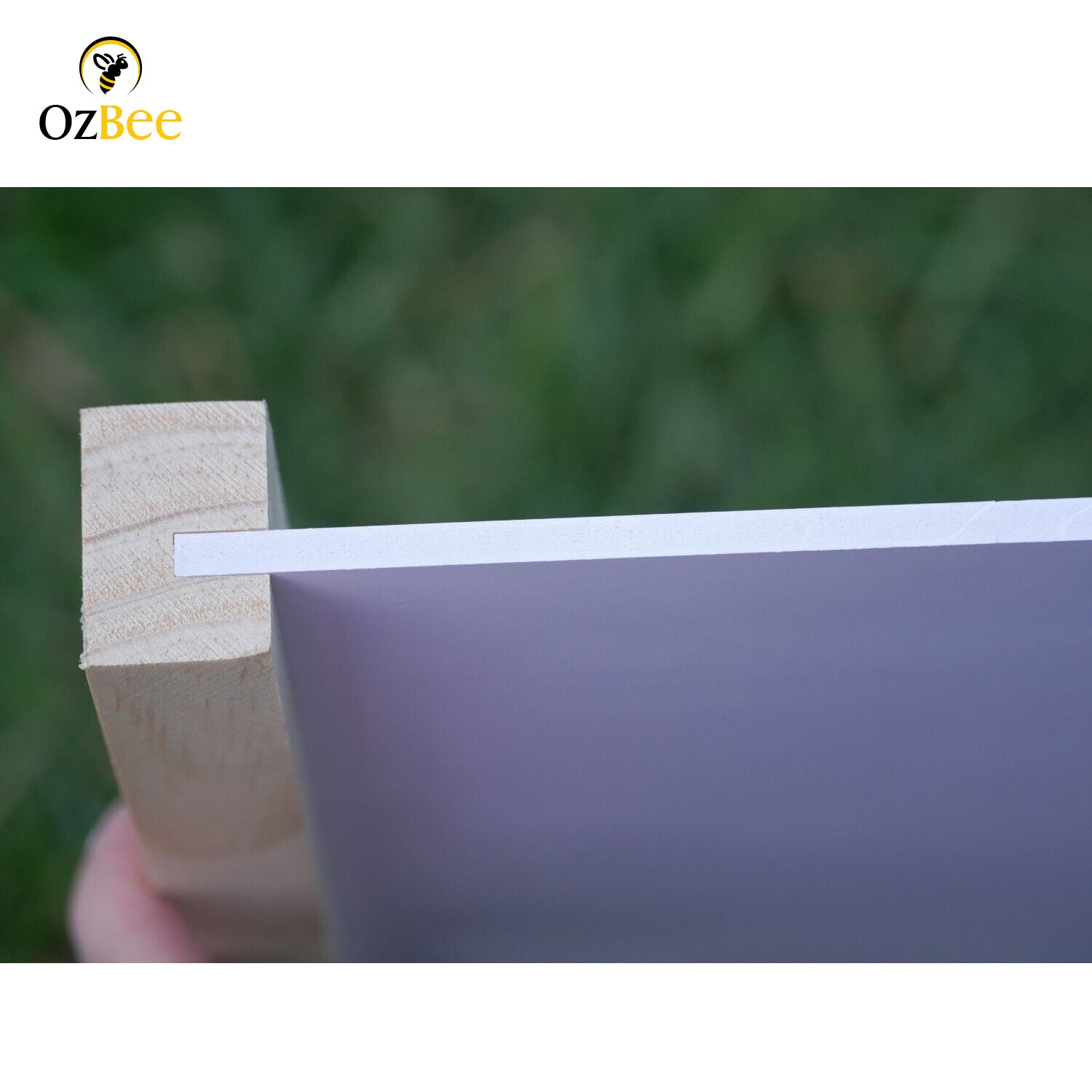 5 X 10F FRAME STAINLESS STEEL MESH BEE HIVE BOTTOM BASE BEEHIVE NZ PINE-2