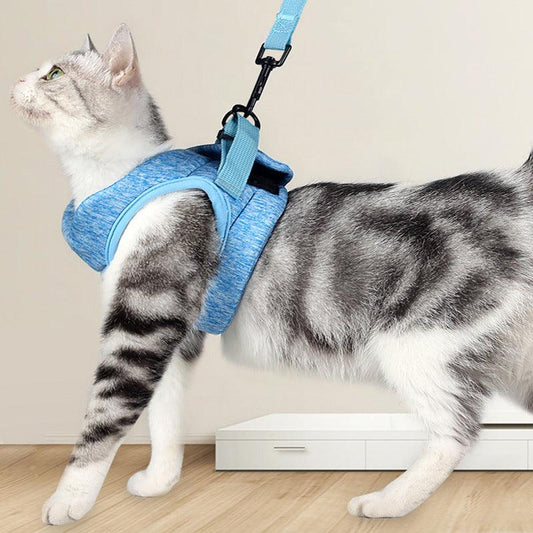 Lightweight Lace Cat Leash And Chest Strap Set - Stylish And Comfortable Outdoor Cat Harness-0