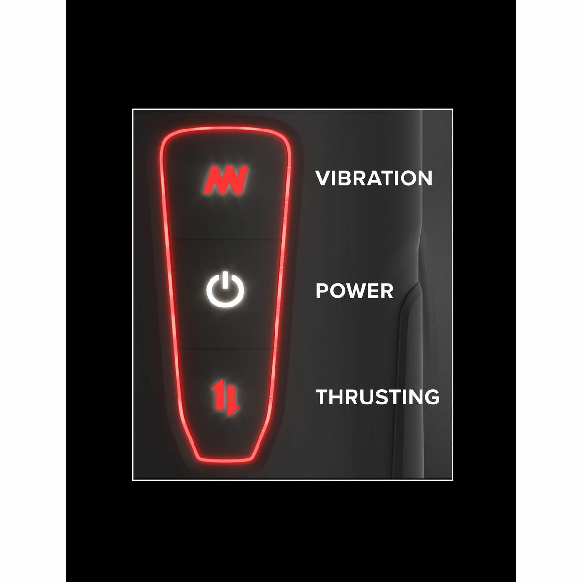 Endurance Jack Ass By Pipedream-3