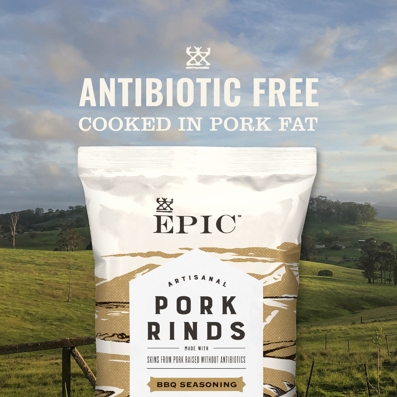 EPIC PORK RINDS TEX BBQ ( 12 X 2.5 OZ   )-2
