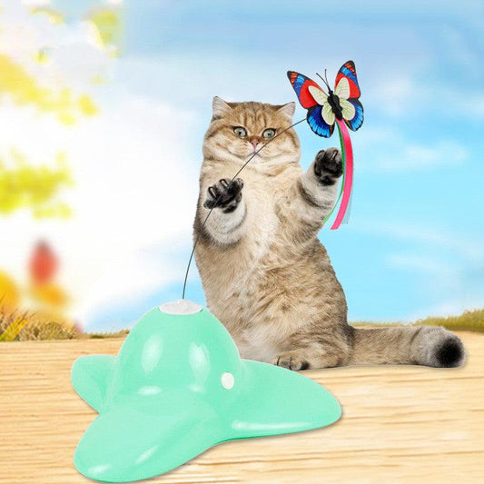 Interactive Kitty Playground-0