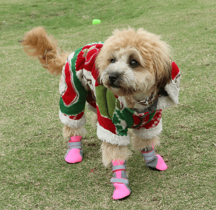 Luminous Comfort Stride: The Ultimate Dog Walking Shoes-0