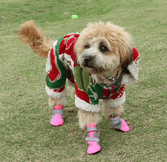 Luminous Comfort Stride: The Ultimate Dog Walking Shoes-0