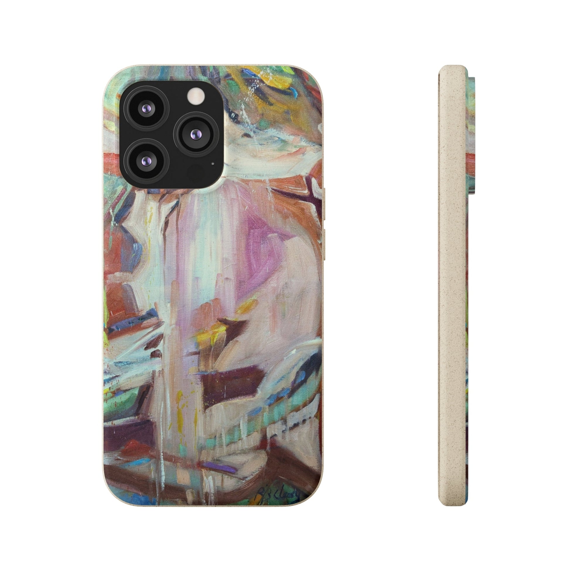 Biodegradable Phone Case with 'All Seasons' Abstract Original Artwork by Barbara Cleary-25