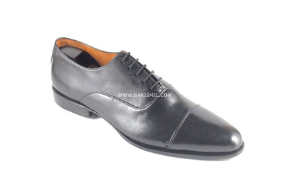 CEO- Chestnut-4