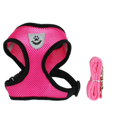 Pet Comfort Ride Leash And Seat Belt Combo-16