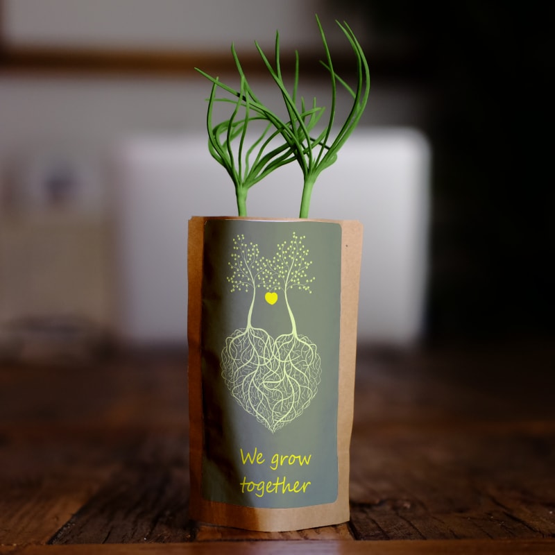 Gift Us a Forest – 200 Trees to Celebrate Our Love – “Roots of Love”-0