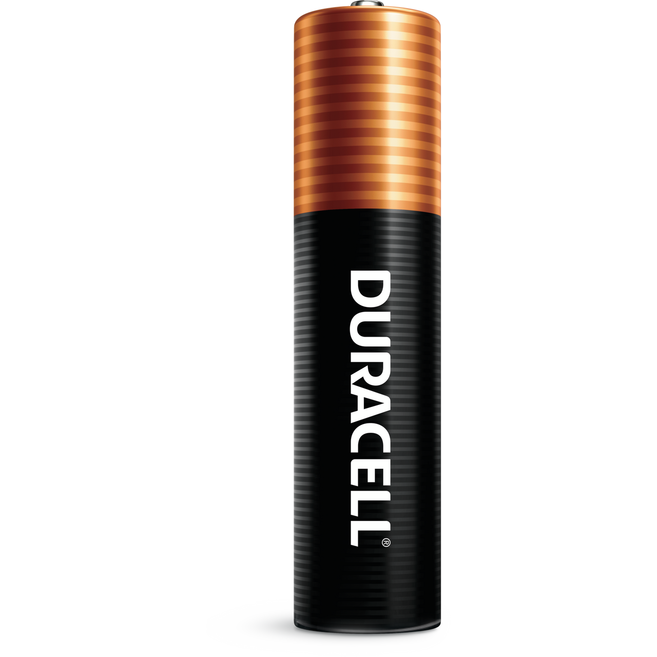 D.C.BTRY ALKLN AAA 1.5 V ( 10 X 8 CT   )-9