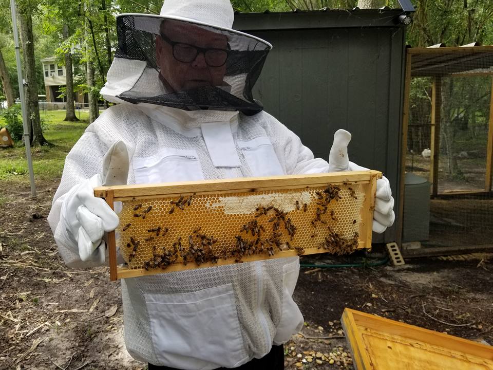 Bread & Butter Pickle Honey-4