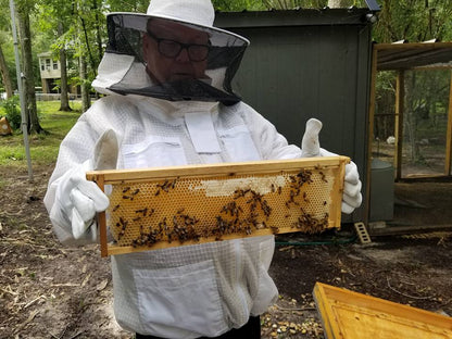 Bread & Butter Pickle Honey-4