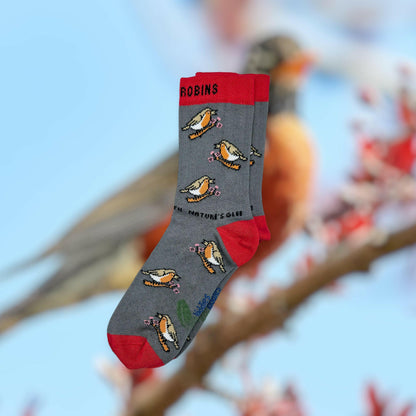 CHIRPY ROBIN ORGANIC COTTON KIDS SOCKS-1