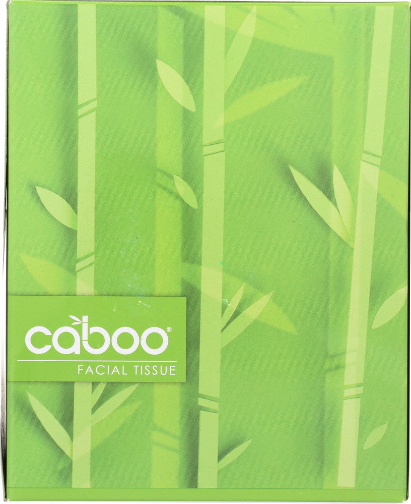 CABOO FACIAL TIS 60CT 3P (12x1.00)-2