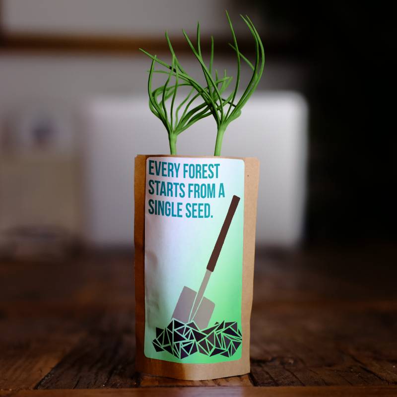 Every Forest Starts From a Single Seed-0